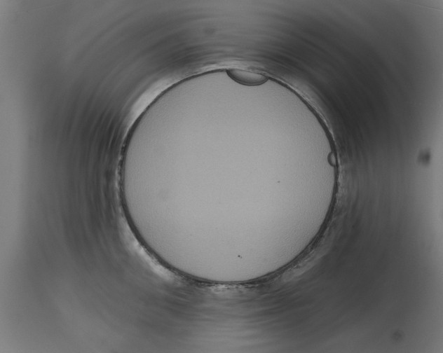 X0000114720906200911181401