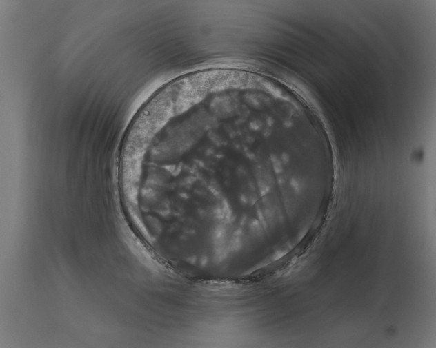 X0000114720907200911181401