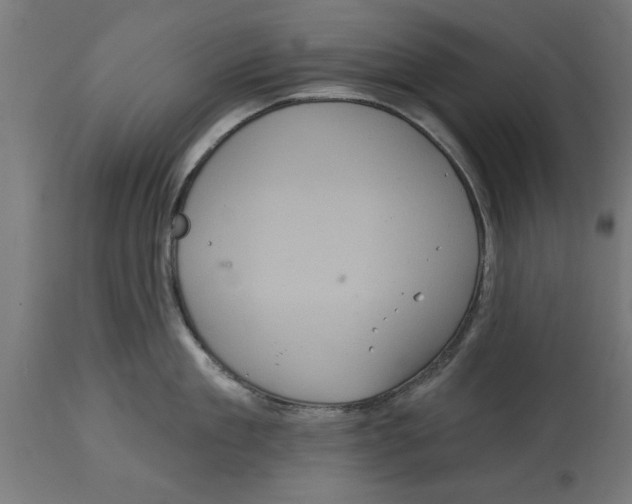 X0000114720909200911181401