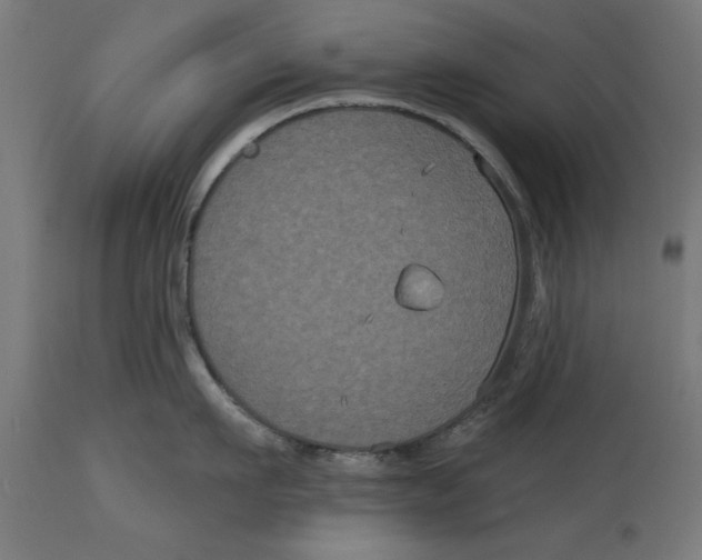 X0000114720911200911181401