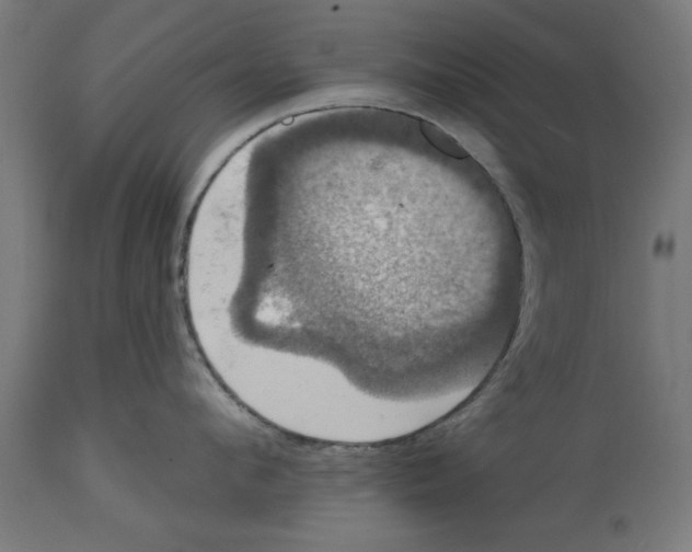 X0000114720912200911181401