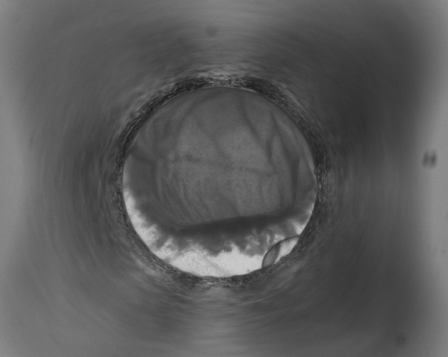 X0000114720913200911181400