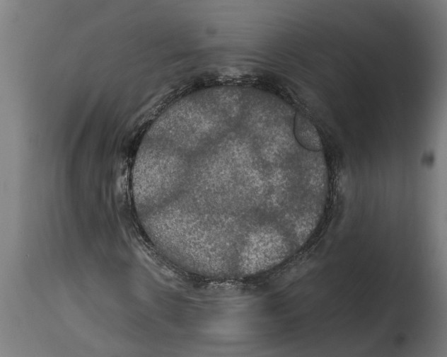 X0000114720914200911181400