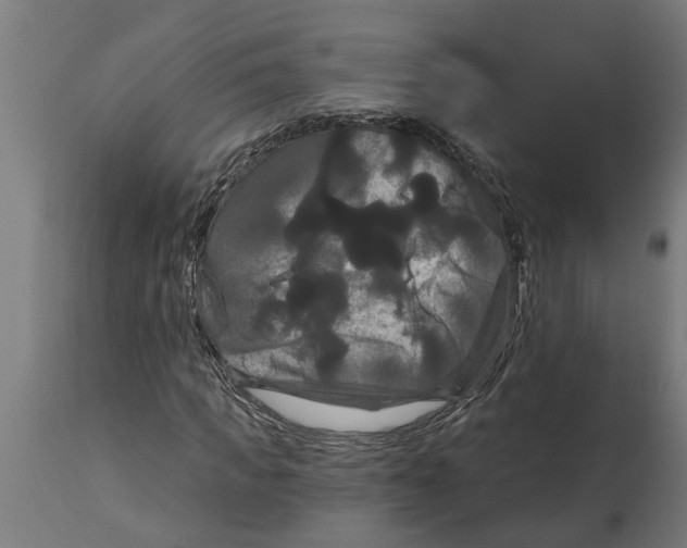 X0000114720917200911181400