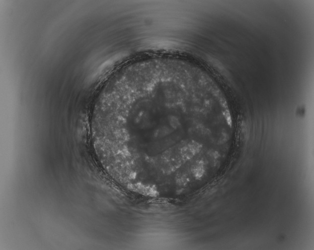 X0000114720918200911181400