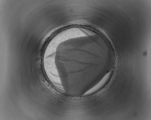 X0000114720923200911181400