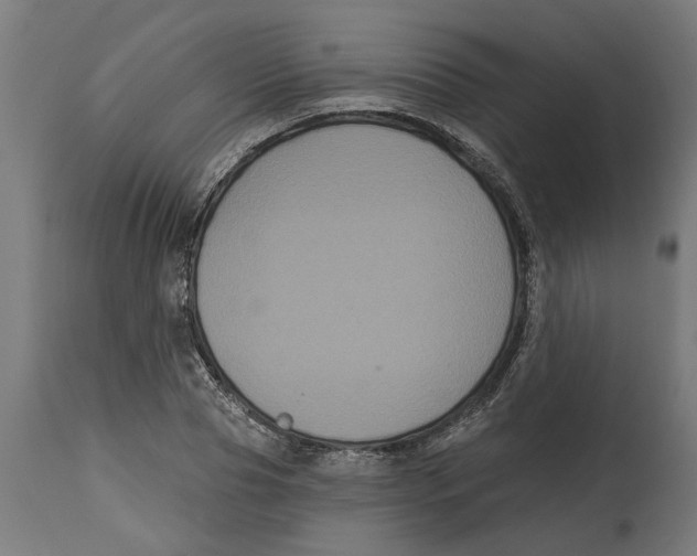 X0000114720929200911181400