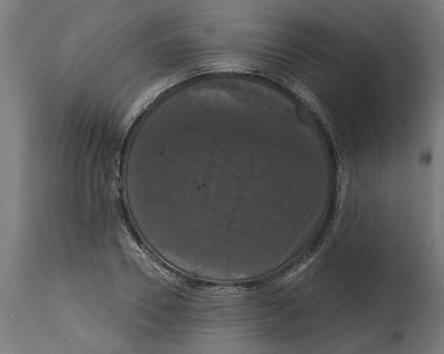 X0000114720930200911181400