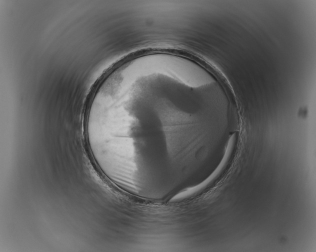 X0000114720935200911181401