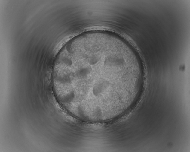 X0000114720937200911181401