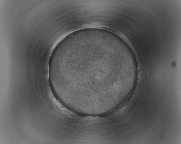 X0000114720939200911181401