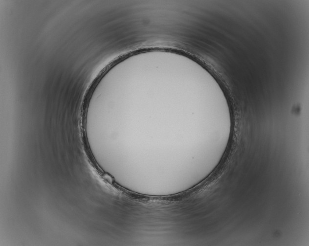 X0000114720942200911181401