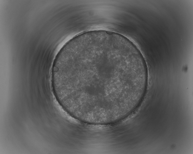 X0000114720949200911181401