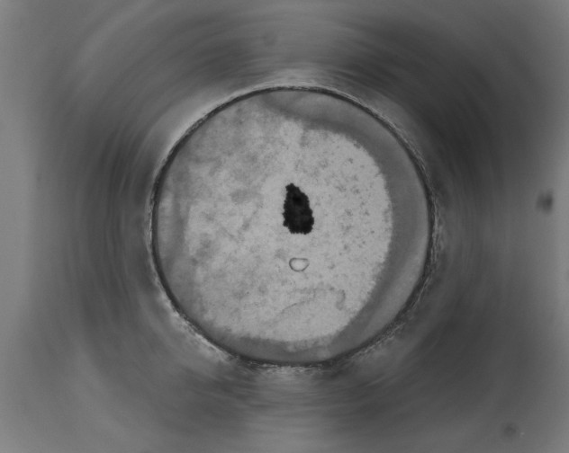 X0000114720950200911181401