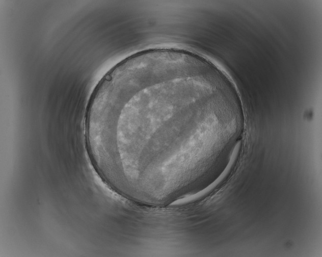 X0000114720951200911181401