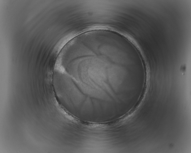 X0000114720953200911181401