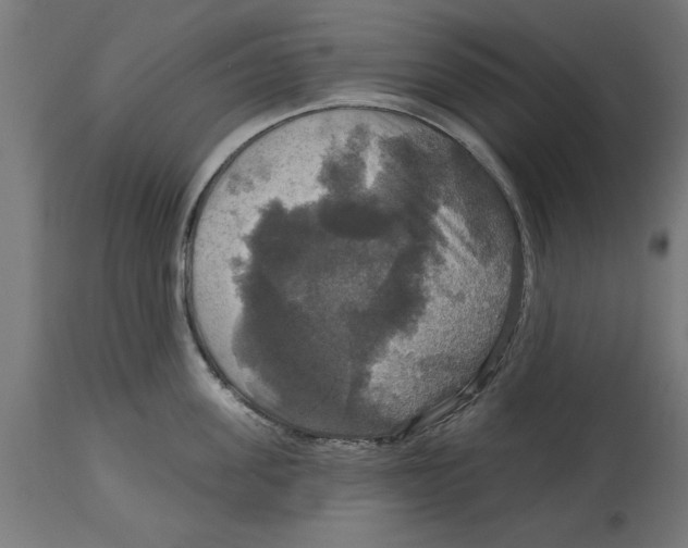 X0000114720955200911181401