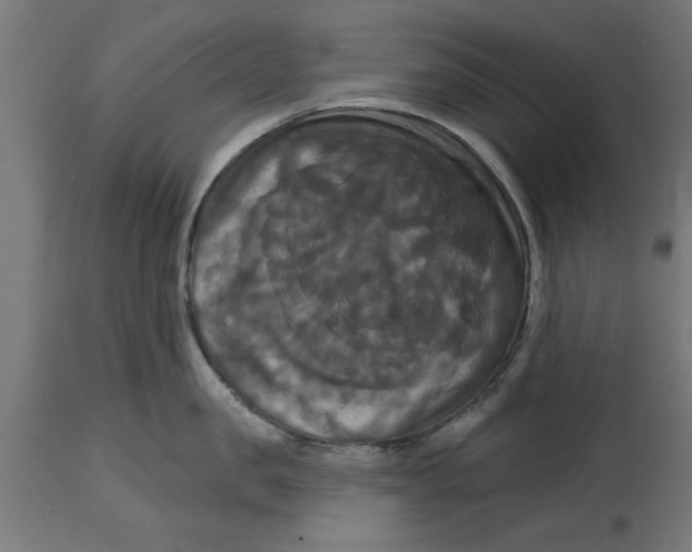 X0000114720957200911181401