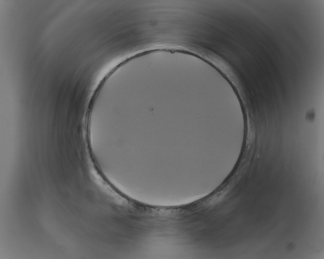 X0000114720958200911181401