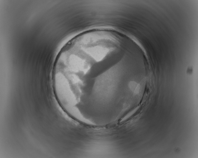 X0000114720959200911181401