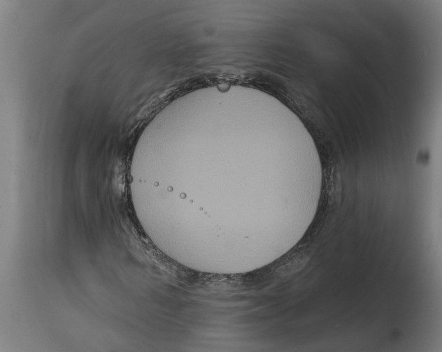 X0000114720962200911181400