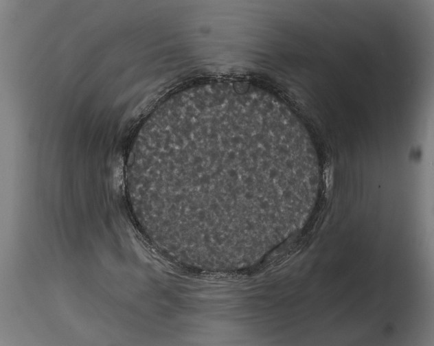 X0000114720963200911181400