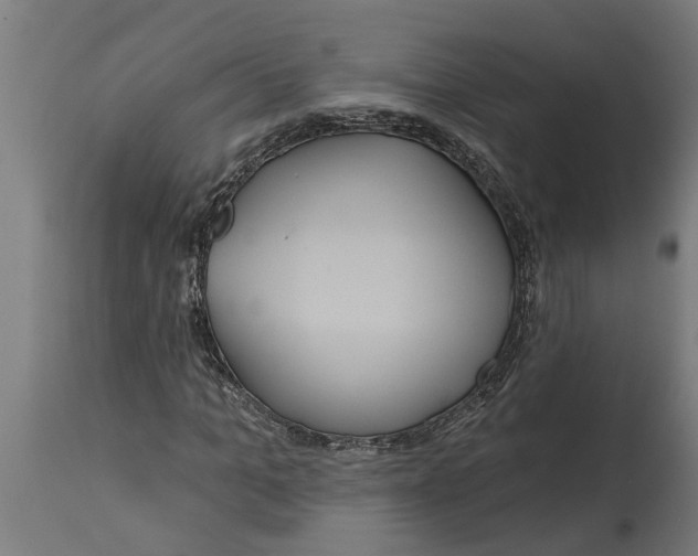 X0000114720965200911181400