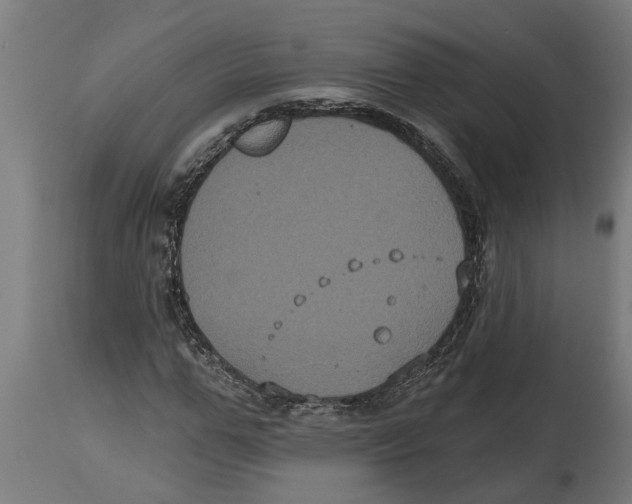 X0000114720967200911181400