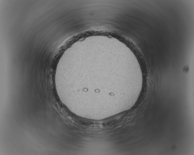 X0000114720968200911181400