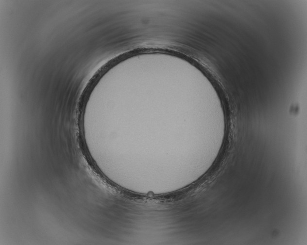 X0000114720976200911181400