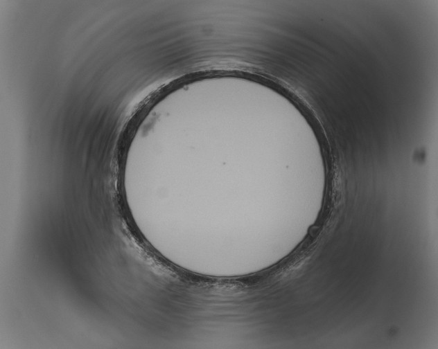 X0000114720979200911181400