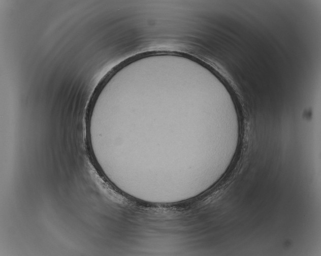 X0000114720980200911181400