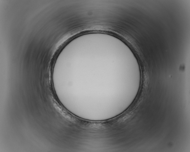 X0000114720982200911181400