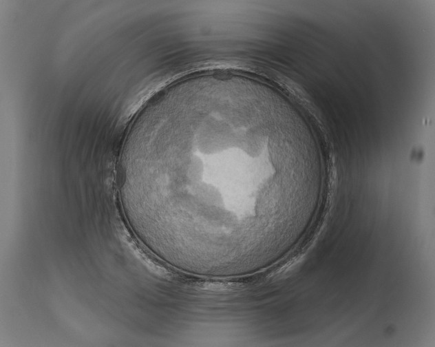 X0000114720985200911181400