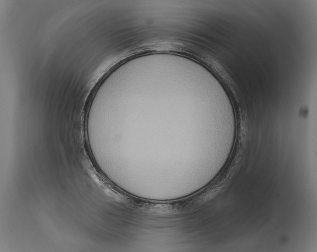 X0000114720986200911181400