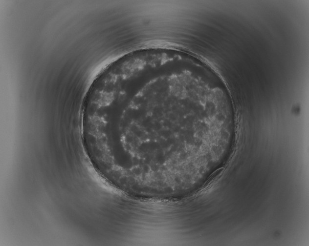 X0000114720987200911181400