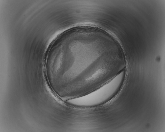 X0000114720989200911181400