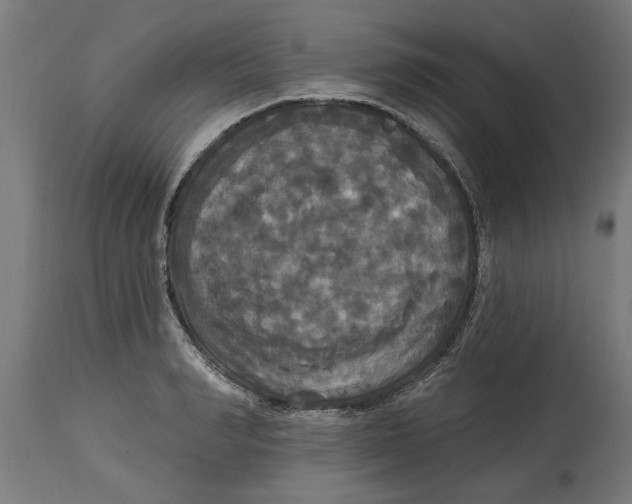 X0000114720990200911181400