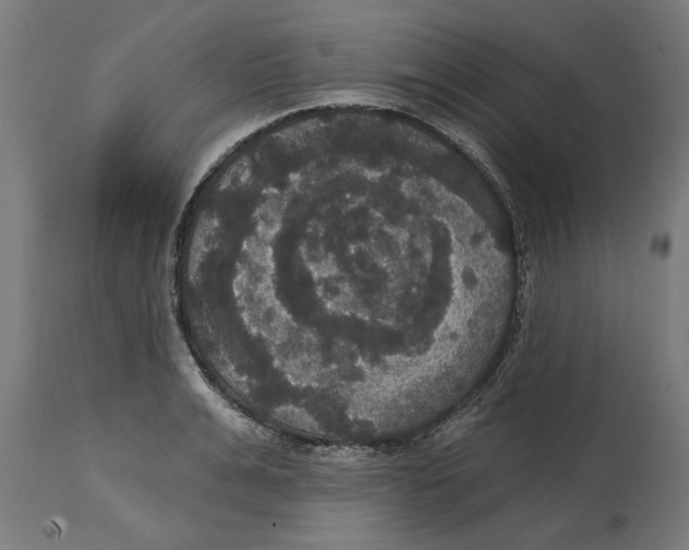 X0000114720991200911181400