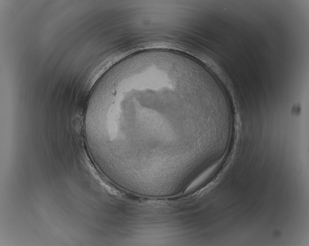 X0000114720993200911181400