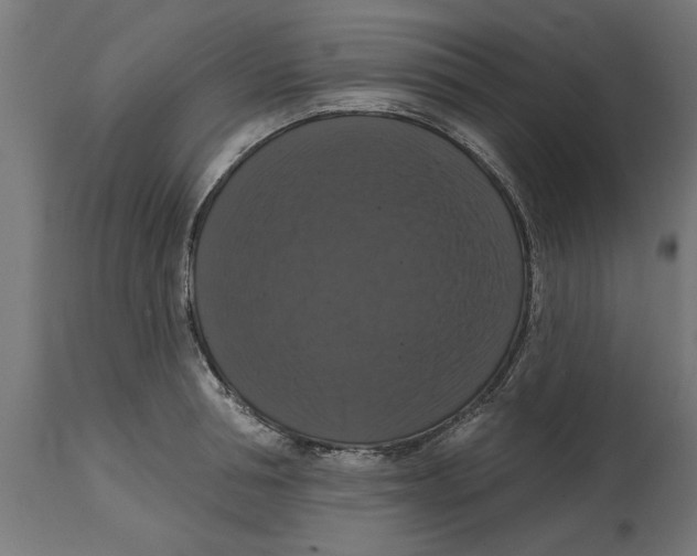 X0000114720994200911181400