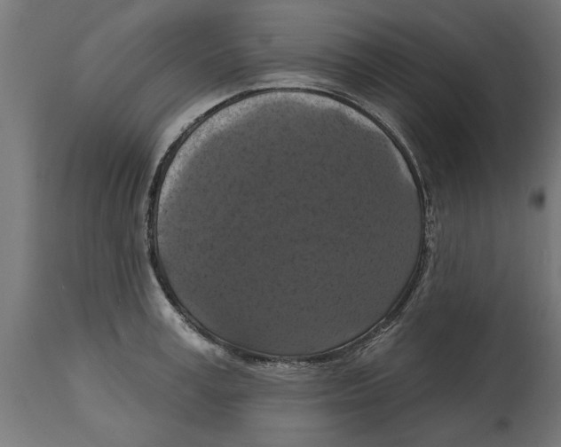 X0000114720995200911181400