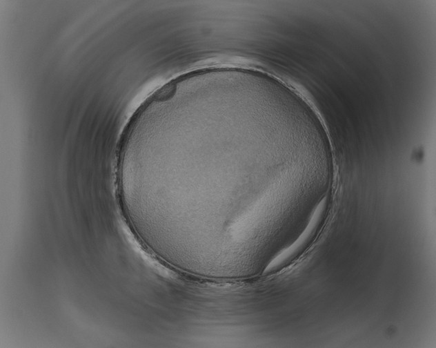 X0000114720997200911181400