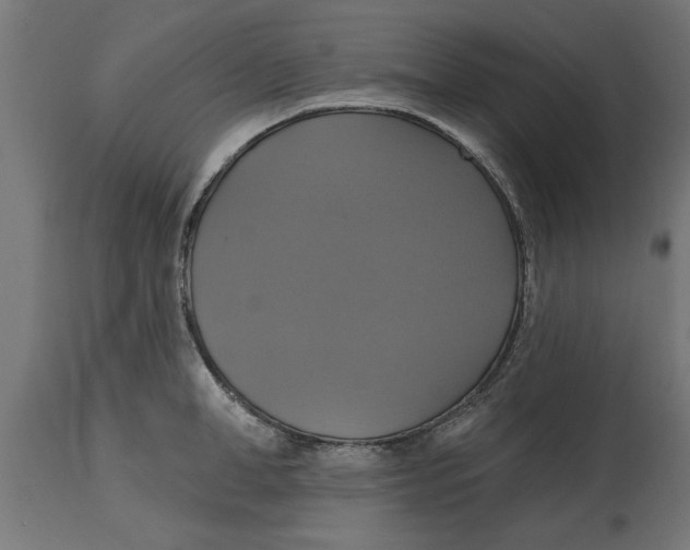 X0000114720998200911181400