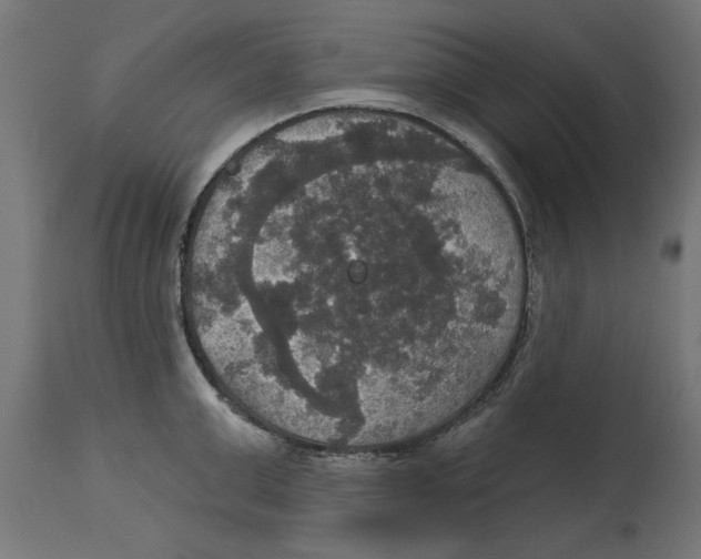 X0000114720999200911181400