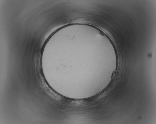 X0000114721000200911181400