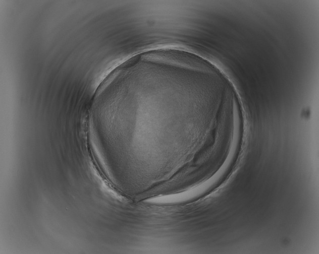 X0000114721001200911181400