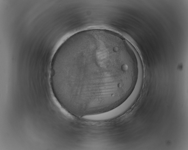 X0000114721005200911181400