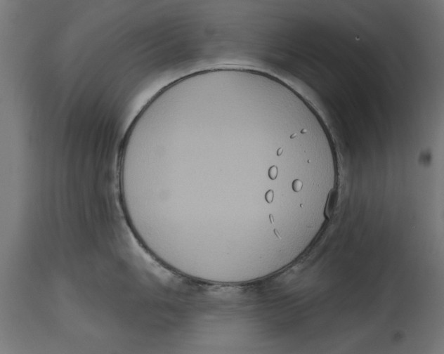 X0000114721006200911181400