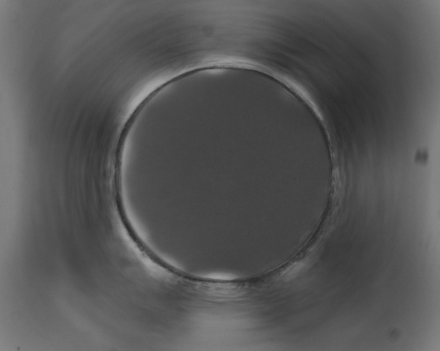 X0000114721007200911181400